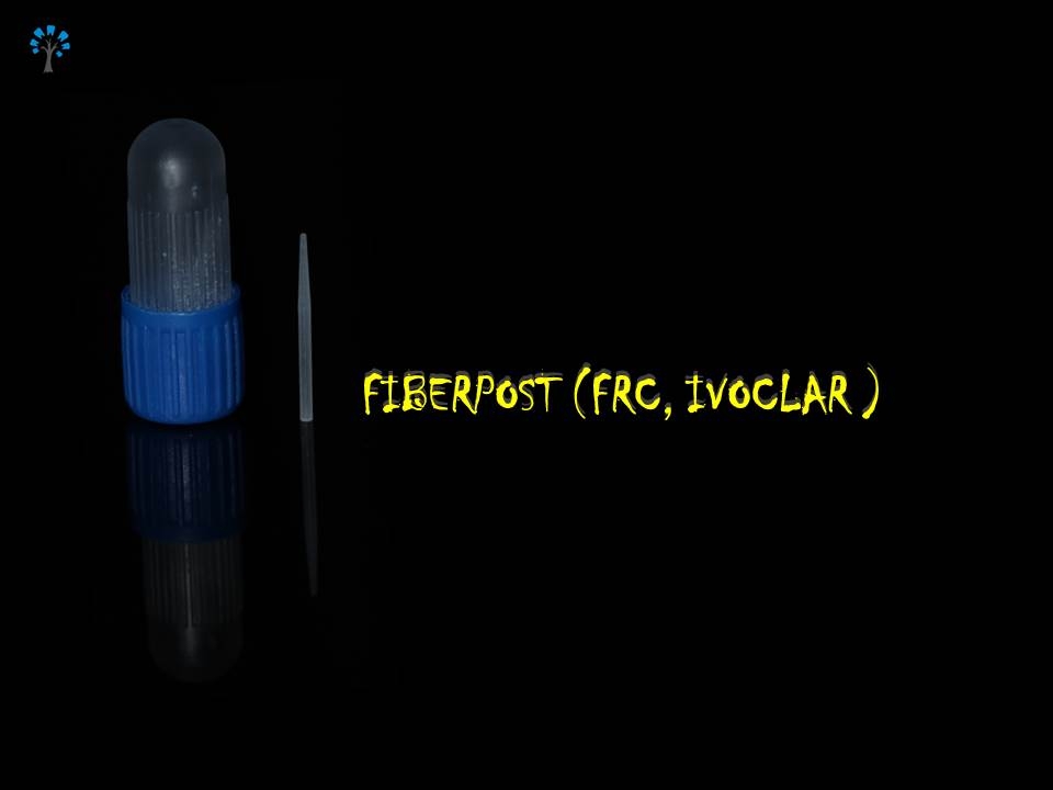 FRC FIBER POST, IVOCLAR